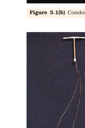 Figure 3.2 Copper T (CuT)